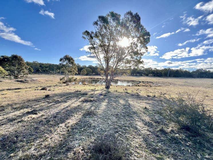 Click to view all images 3814 Oallen Ford Road Windellama NSW 2580 - Image 2