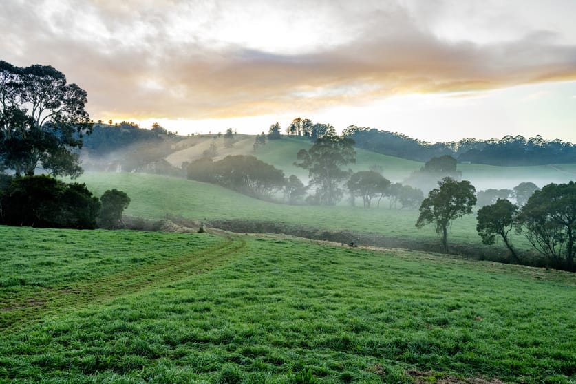 1431 Coramba Road Dorrigo NSW 2453 - Image 2