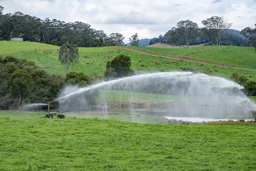 1431 Coramba Road Dorrigo NSW 2453 - Image 1