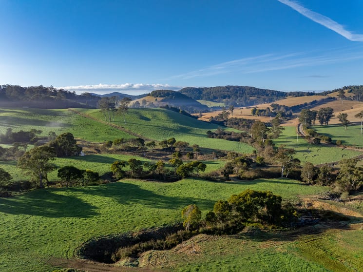 1431 Coramba Road Dorrigo NSW 2453 - Image 3