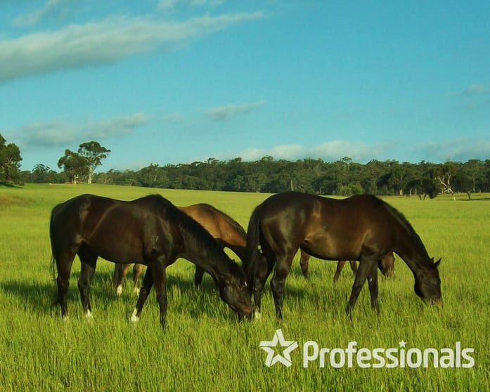 Click to view all images Lot 6105 Corser Road Wandering WA 6308 - Image 3