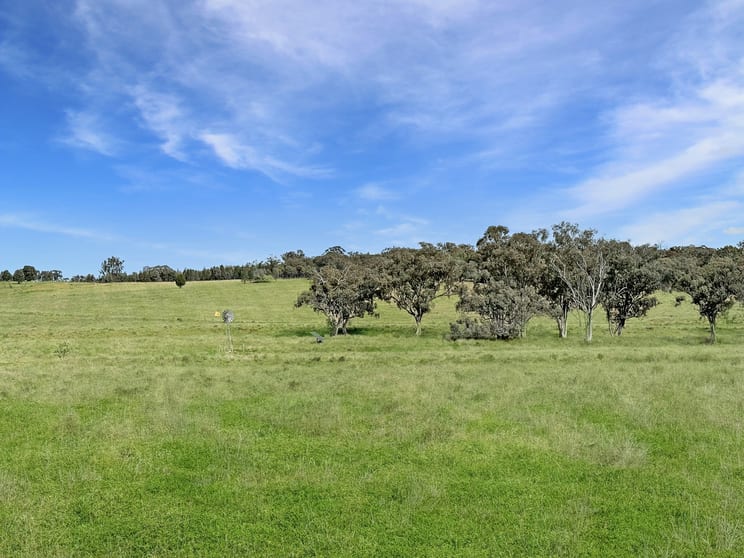 Click to view all images 'Gemini Park' 1891 Wandobah Road Gunnedah NSW 2380 - Image 3