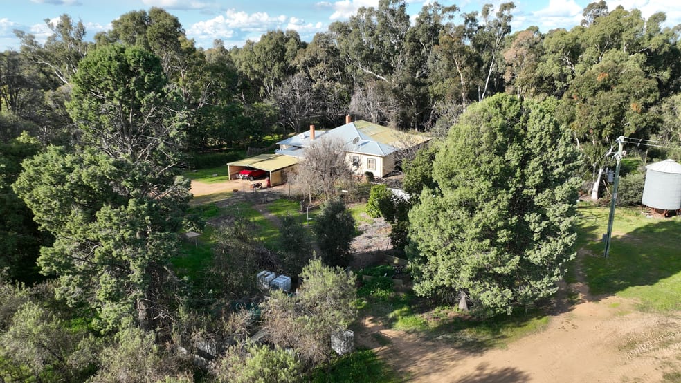 Cumnock Park Brassi Road Deniliquin NSW 2710 - Image 3