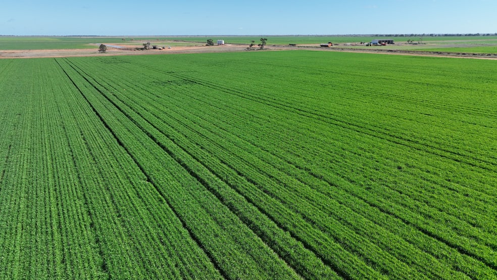 Click to view all images "Waringah" Mabins Well Road Conargo NSW 2710 - Image 3