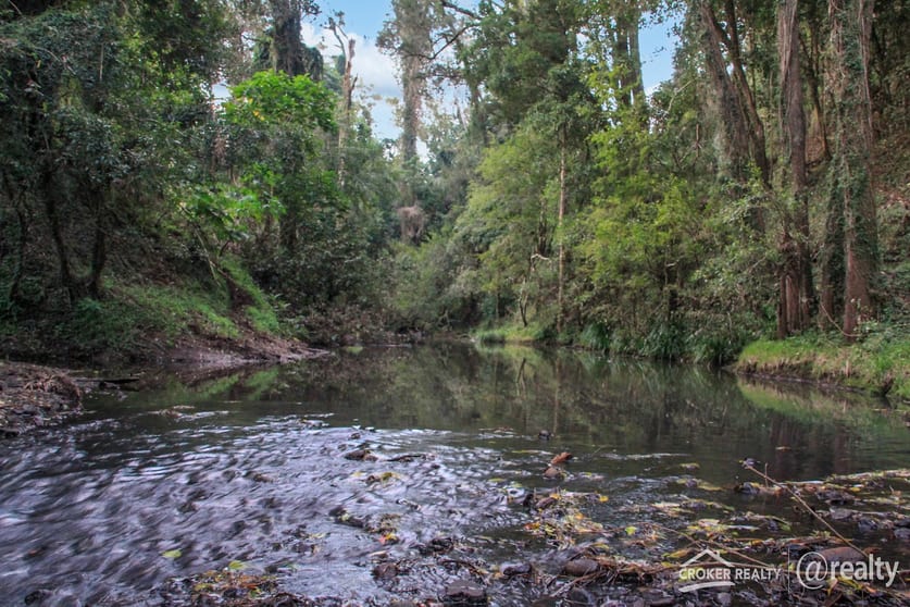 Lot 23 Hillyards Road Boorabee Park NSW 2480 - Image 3