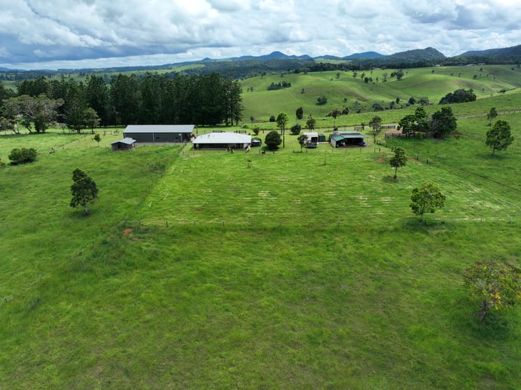 Click to view all images 210 Pheasant Rd Millaa Millaa QLD 4886 - Image 1