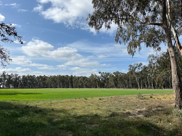 Click to view all images 456 RIVER ROAD Gonn Crossing VIC 3579 - Image 3