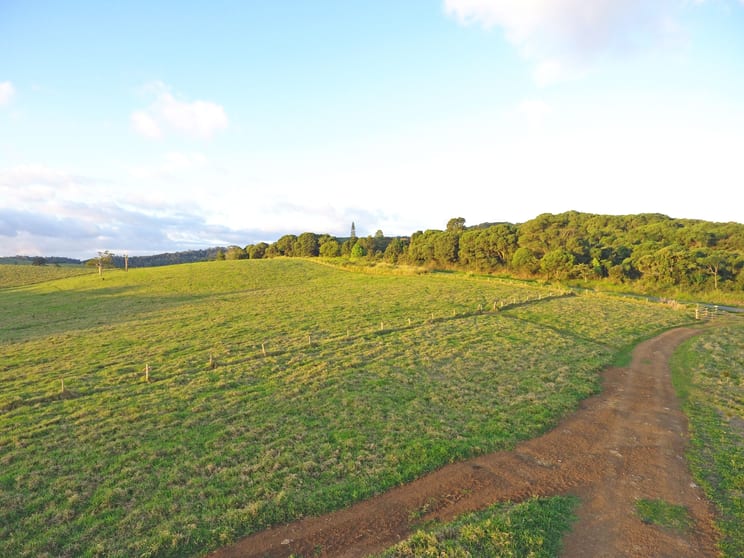 Click to view all images 0 Boar Pocket Rd Danbulla QLD 4872 - Image 1