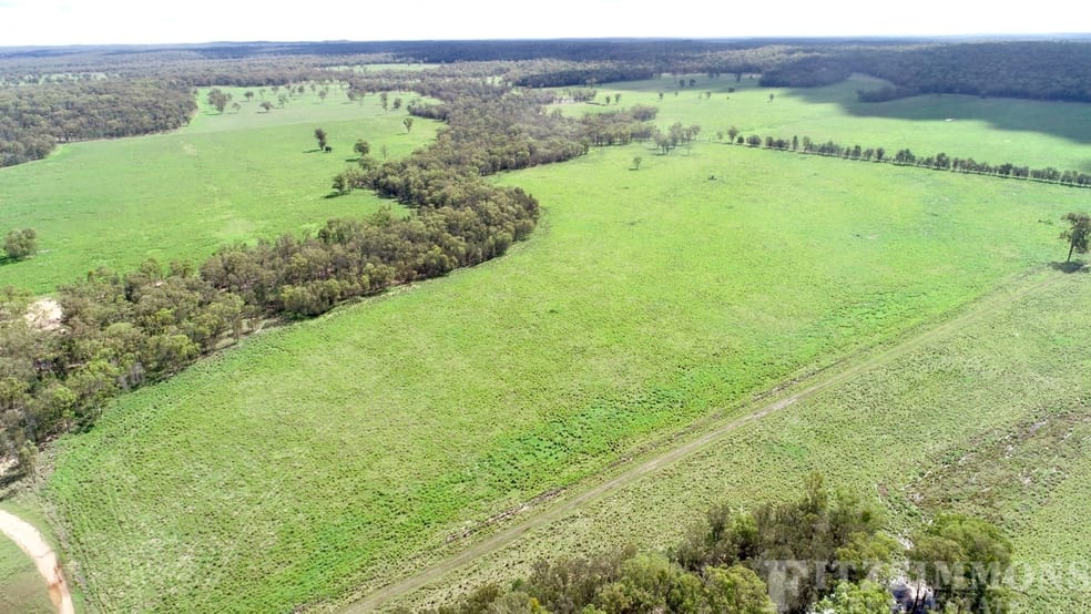 Click to view all images 966 Wilkins Road Cecil Plains QLD 4407 - Image 3