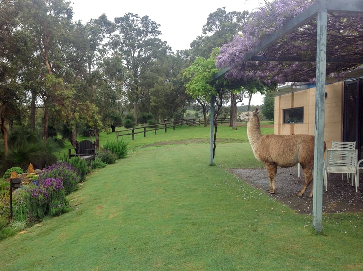 Click to view all images Waroona WA 6215 - Image 3