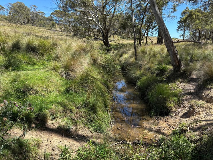 Click to view all images 184 Old Western Road Mount Lambie NSW 2790 - Image 1