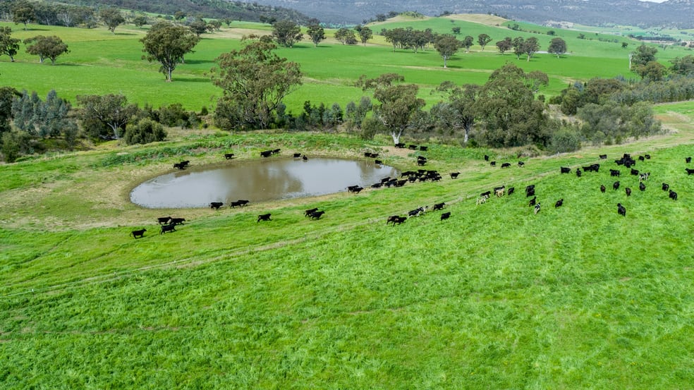 Click to view all images 'Peberdy' 511-513 Dalswinton Rd Denman NSW 2328 - Image 1