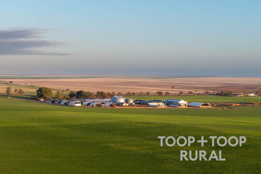Click to view all images 735 Koch Road (via Loxton) Taldra SA 5311 - Image 2