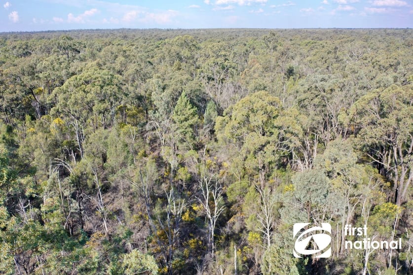 Click to view all images Lot 155/ Lucky Road Tara QLD 4421 - Image 3