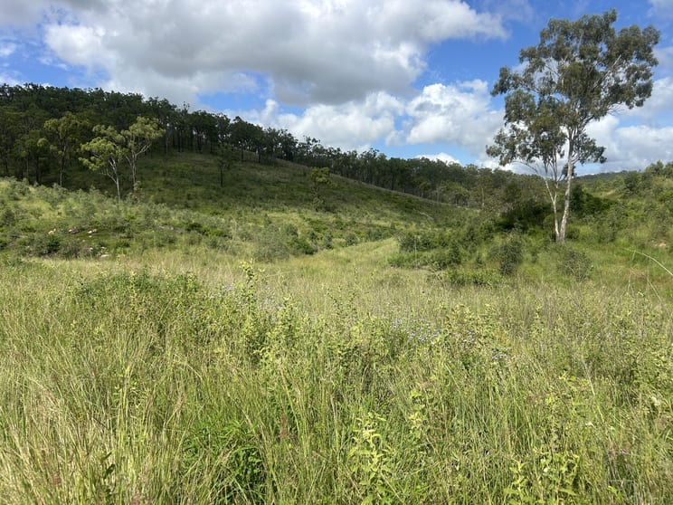 789 Coppin Rd Monto QLD 4630 - Image 2