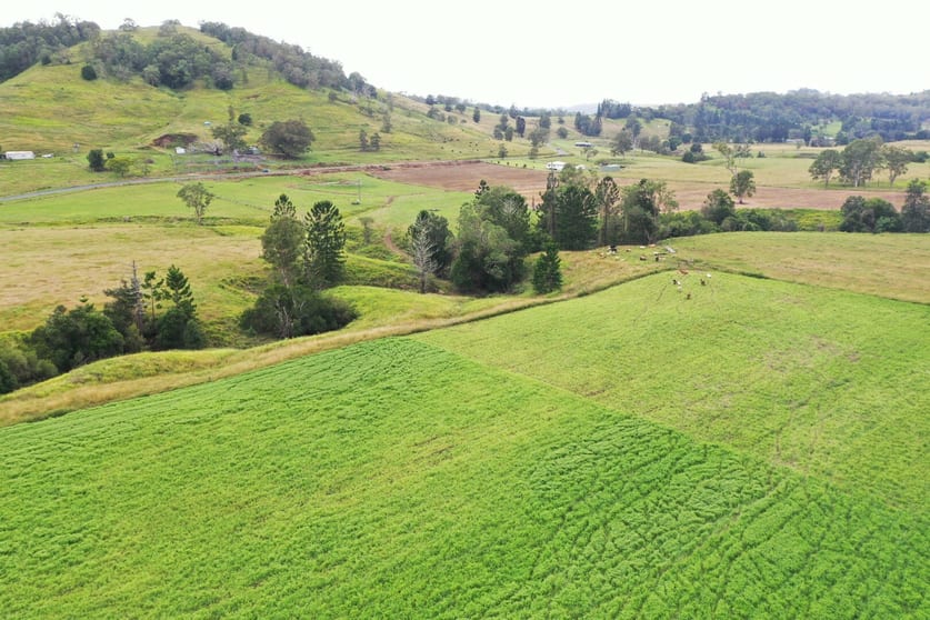 Click to view all images 590 Rock Valley Rd Lismore NSW 2480 - Image 1