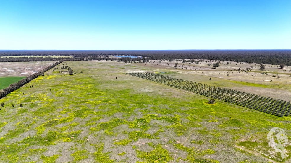 Click to view all images 399 Glenwood Lane Bohena Creek NSW 2390 - Image 3