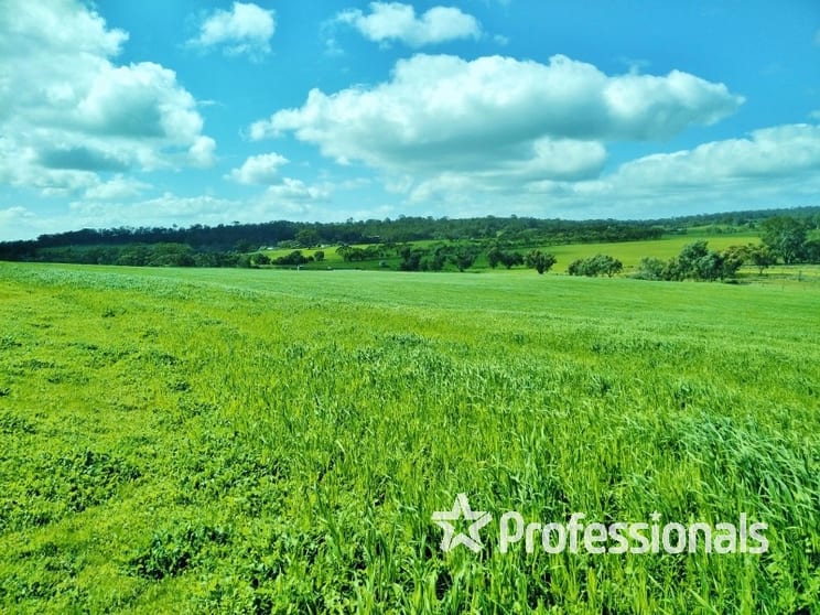 Click to view all images Lot 7902 Corser Road Wandering WA 6308 - Image 1