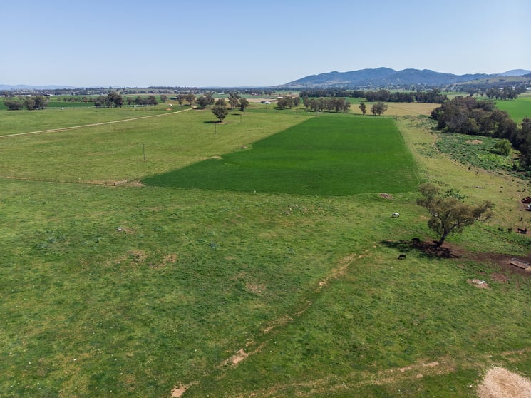 Click to view all images 405 Loomberah Road Calala NSW 2340 - Image 3