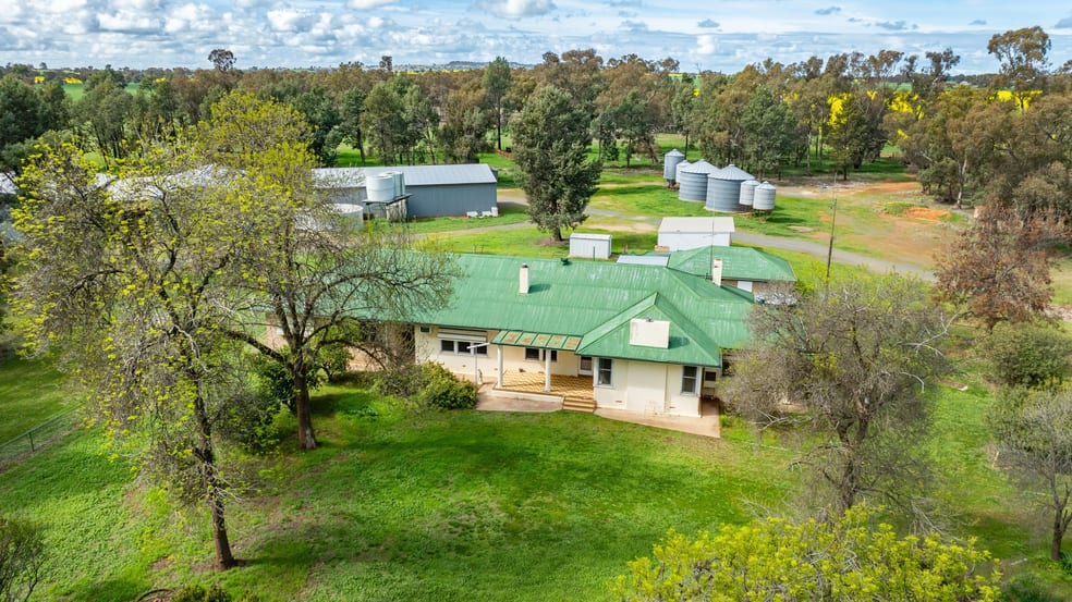 Click to view all images 162 Back Ferndale Road Rand NSW 2642 - Image 3