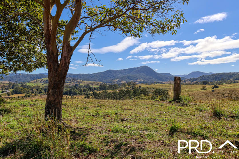 Lot 30, 46 Lynches Creek Road Wiangaree NSW 2474 - Image 1