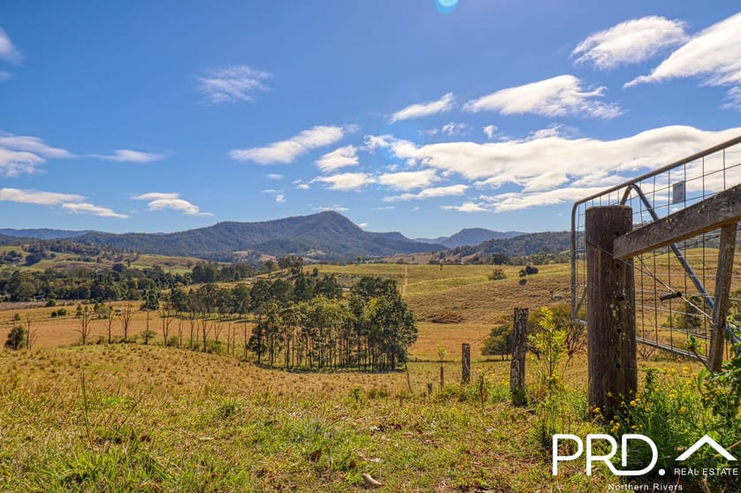 Lot 30, 46 Lynches Creek Road Wiangaree NSW 2474 - Image 3