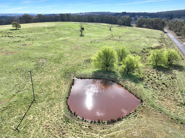 60 Bucky Springs Road Bombala NSW 2632 - Image 2