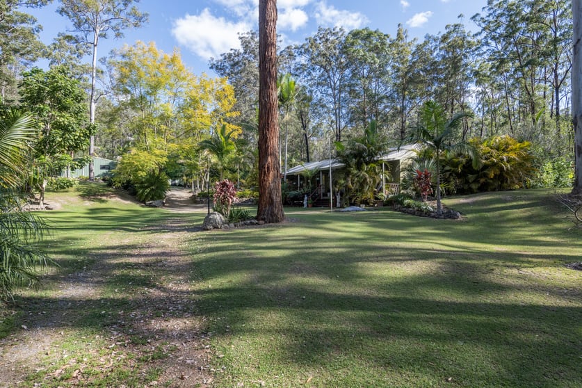 3623 Armidale Road Nymboida NSW 2460 - Image 2
