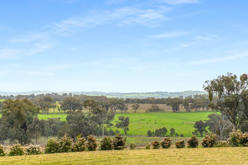 Click to view all images 942 Belgravia Road Orange NSW 2800 - Image 2