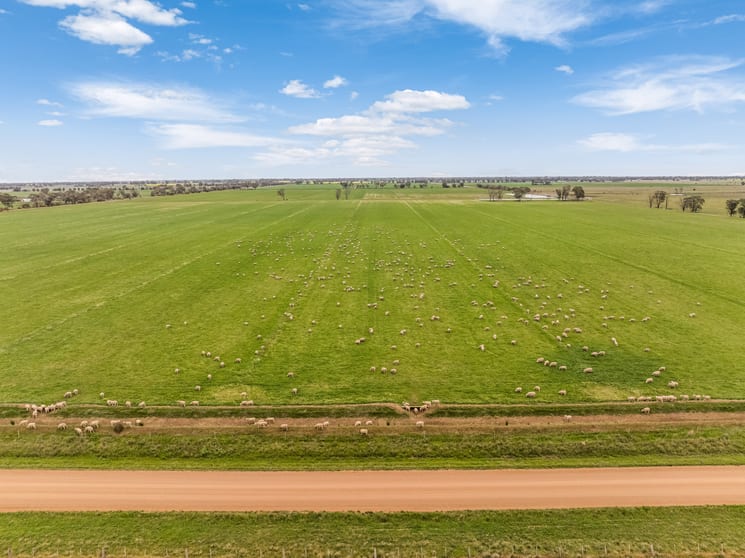 Echuca-Mitiamo Road Echuca VIC 3564 - Image 2
