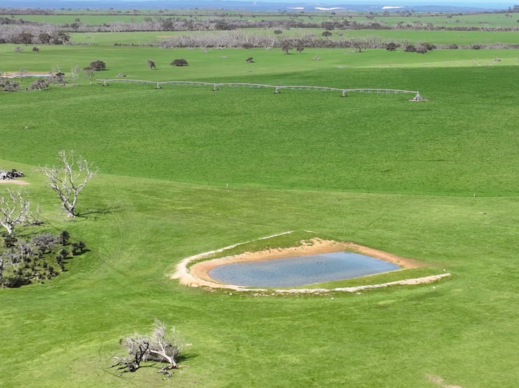Click to view all images 2448 East West One Highway Newland SA 5223 - Image 1
