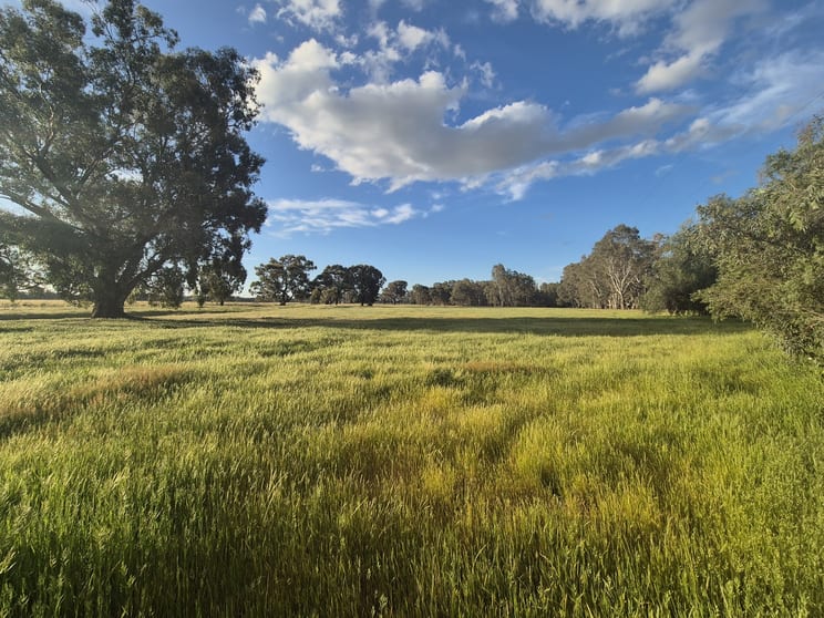 50 Ramage Road Violet Town VIC 3669 - Image 2