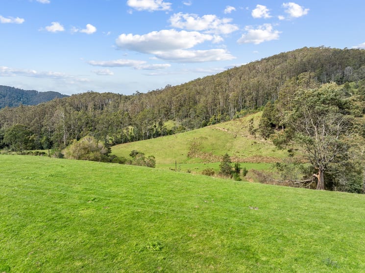Click to view all images Lot 1 Forest Lodge Road Pyengana TAS 7216 - Image 2