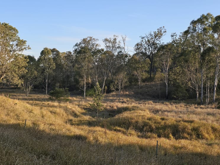 29 Barn Road Emu Creek QLD 4355 - Image 3