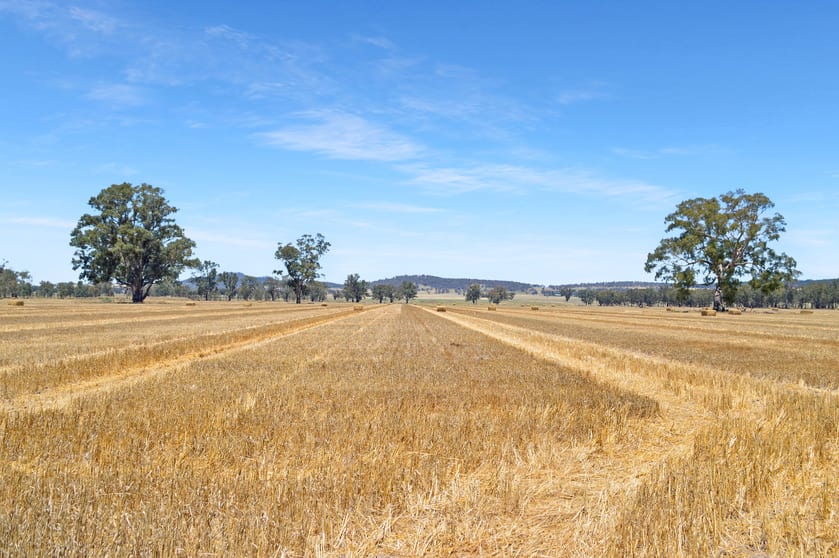 Click to view all images 325 The Rock Mangoplah Rd The Rock NSW 2655 - Image 1