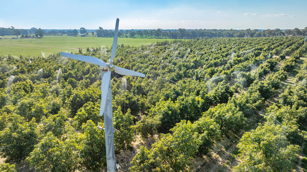 Click to view all images Sepelts Road Barooga NSW 3644 - Image 2