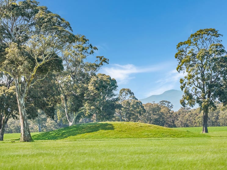 813 Yarramyljup Road Rocklands VIC 3401 - Image 3