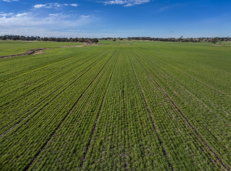 Click to view all images 637 Mia Mia Road Purlewaugh NSW 2357 - Image 2