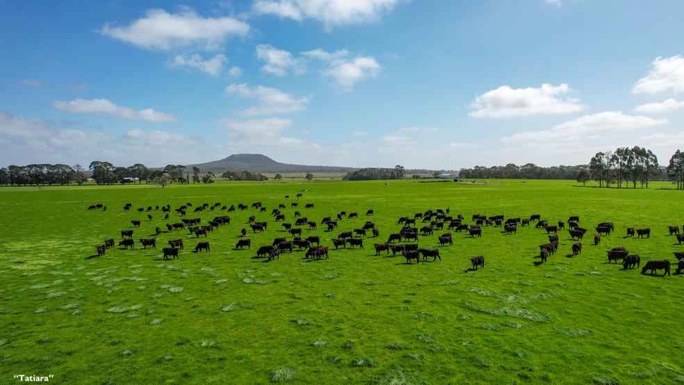 Click to view all images 2012 Mt Napier Road Gazette VIC 3289 - Image 2