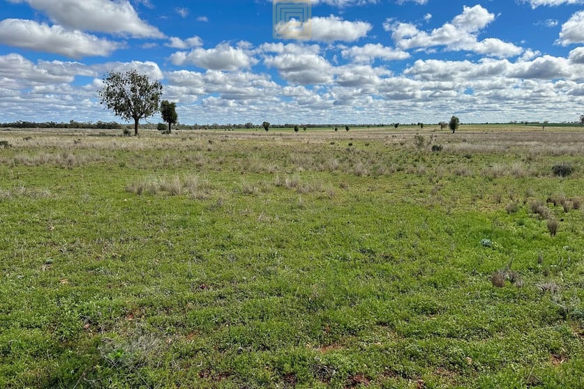 KOOREGAH STATION Yarrandale Road Hermidale NSW 2831 - Image 1