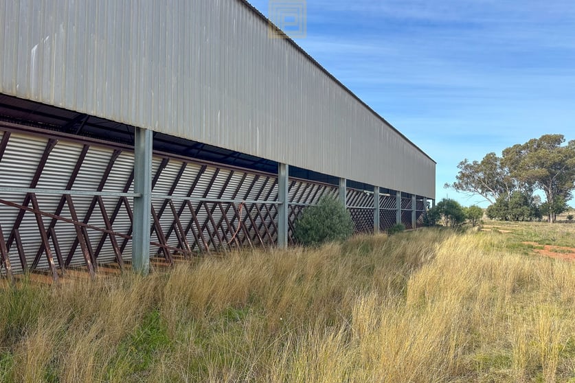 KOOREGAH STATION Yarrandale Road Hermidale NSW 2831 - Image 2