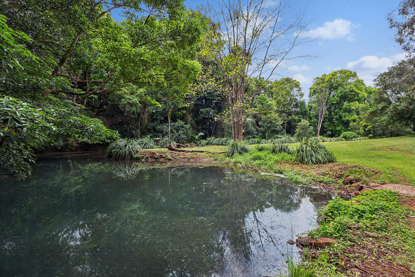 Click to view all images 120 Alstonvale Road Alstonvale NSW 2477 - Image 1