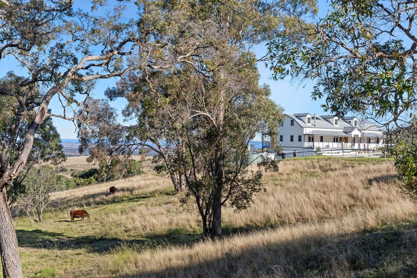 Click to view all images 249 Coopers Gully Road Mount Sturt QLD 4370 - Image 3