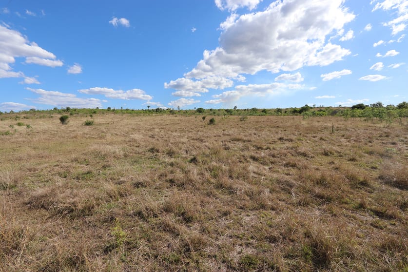 Click to view all images 0 Dalma - Ridgelands Rd Ridgelands QLD 4702 - Image 2
