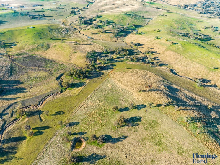 Click to view all images 272 Rossi Road Boorowa NSW 2586 - Image 1