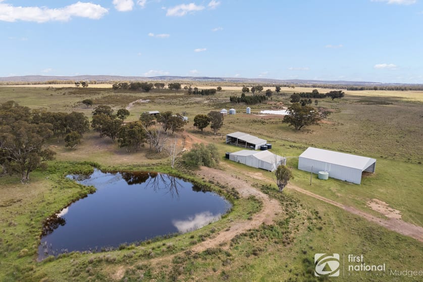 569 Wongoni Road Dunedoo NSW 2844 - Image 2