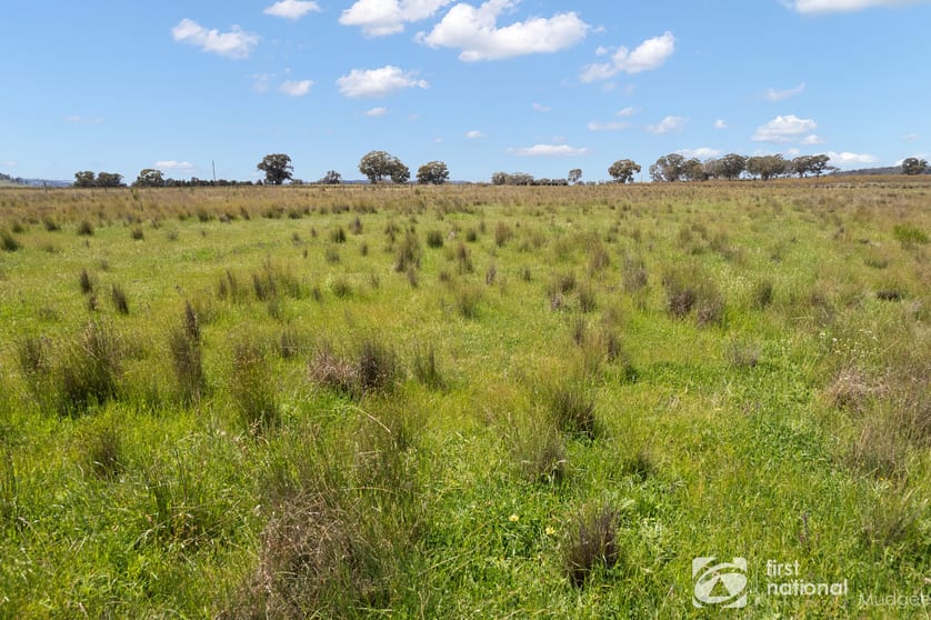 569 Wongoni Road Dunedoo NSW 2844 - Image 3