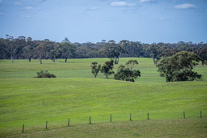Click to view all images 220 Old Stone Tank Road Mundulla SA 5270 - Image 1
