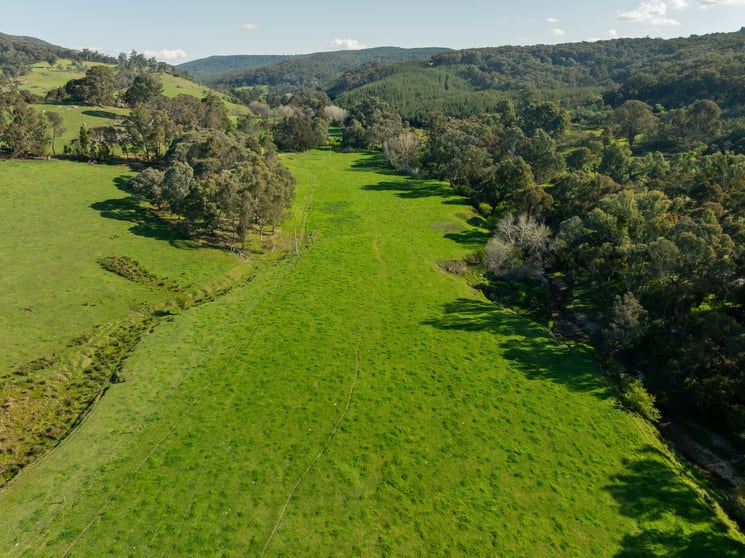 315 Davies Road Warrenbayne VIC 3670 - Image 2