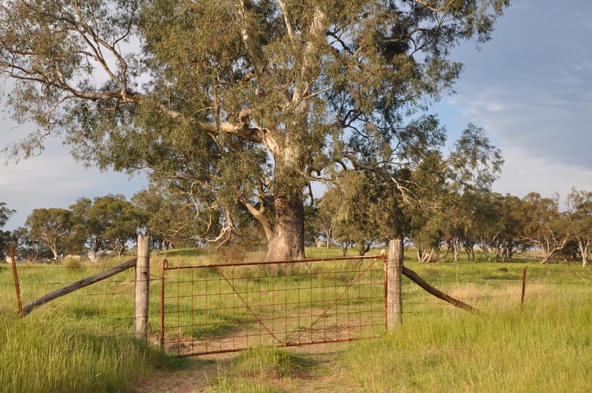 Click to view all images 51 Queen St Bunnan NSW 2337 - Image 2